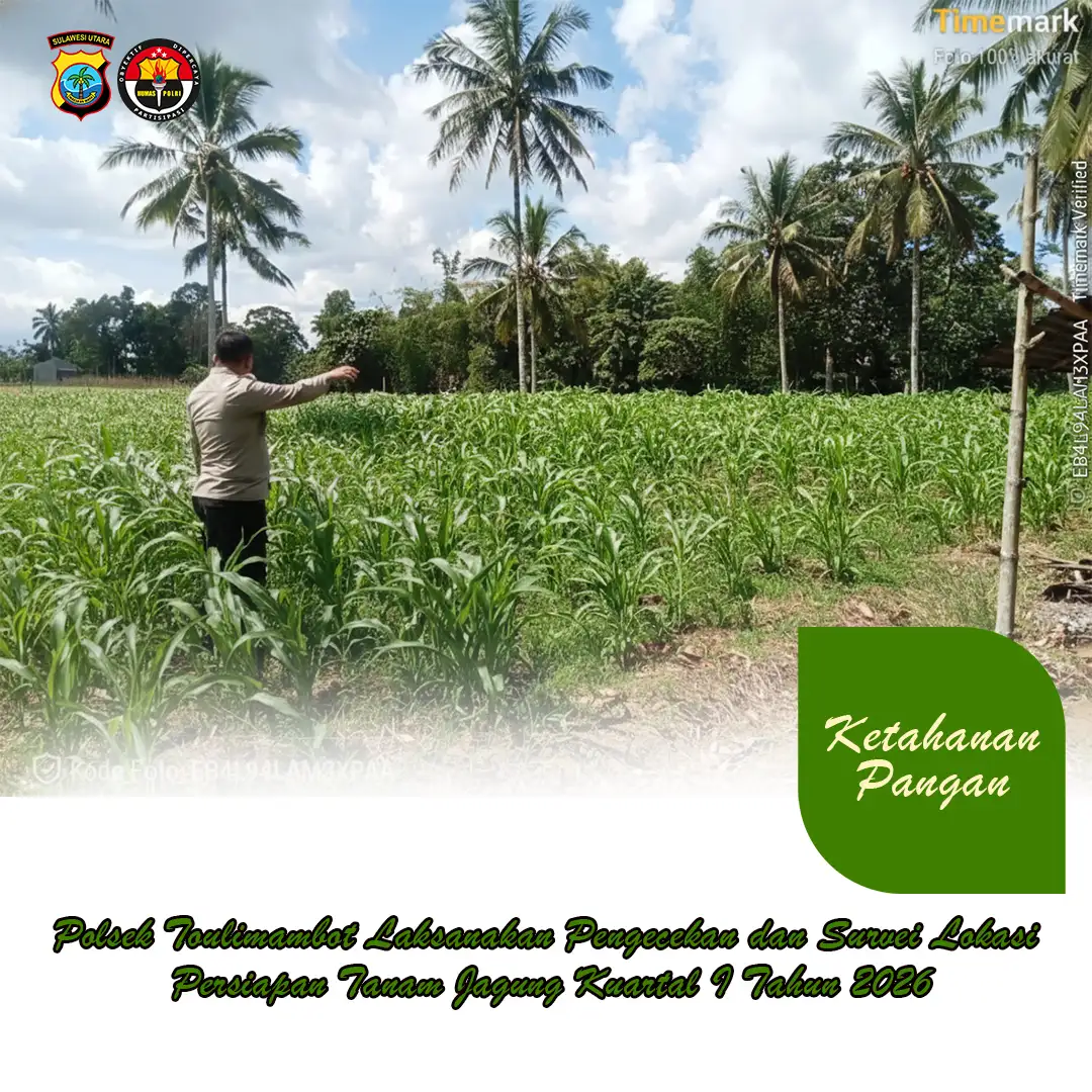 Polsek Toulimambot Laksanakan Pengecekan dan Survei Lokasi Persiapan Tanam Jagung Kuartal I Tahun 2026